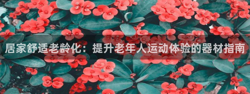 意昂体育3：居家舒适老龄化：提升老年人运动体验的器材