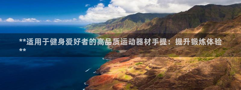 意昂体育3是干嘛的公司：**适用于健身爱好者的高品质