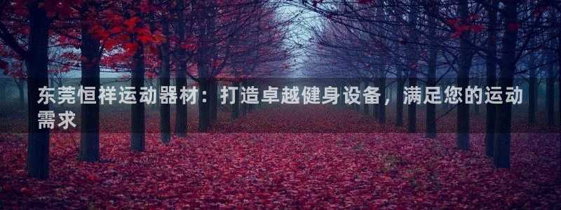意昂3五金厂：东莞恒祥运动器材：打造卓越健身设备，满