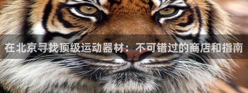 意昂体育3平台是正规平台吗：在北京寻找顶级运动器材：