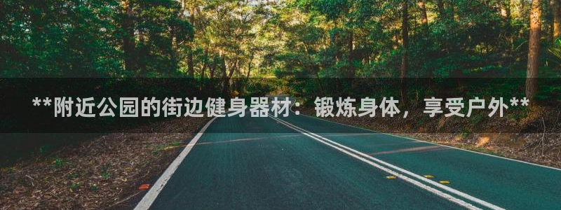 意昂3官网：**附近公园的街边健身器材：锻炼身体，享