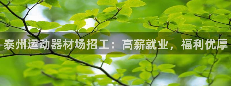意昂体育3招商电话号码