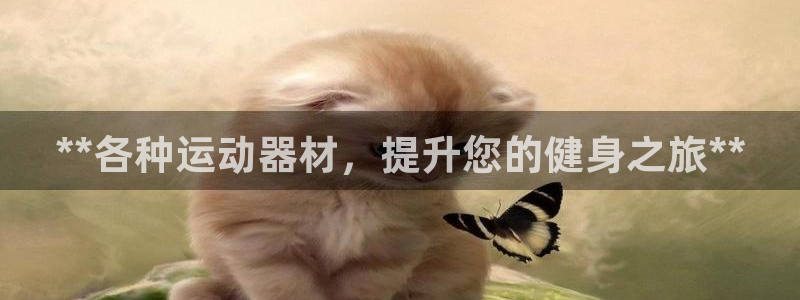 意昂平台体育