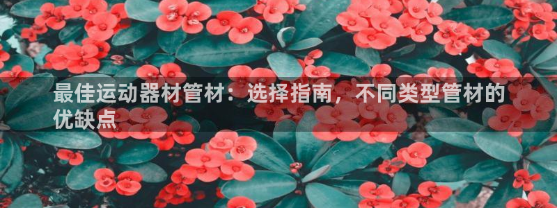 意昂3娱乐40996：最佳运动器材管材：选择指南，不