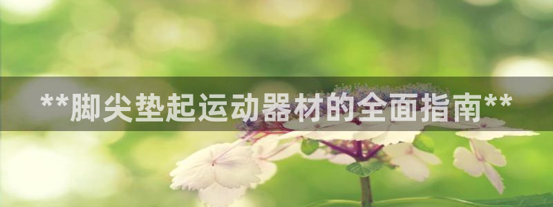 意昂体育3注册：**脚尖垫起运动器材的全面指南**