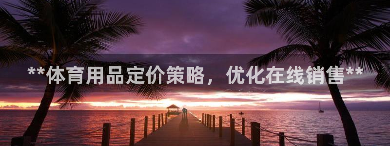 意昂体育3招商电话是多少啊：**体育用品定价策略，优