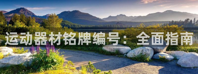意昂平台体育：运动器材铭牌编号：全面指南