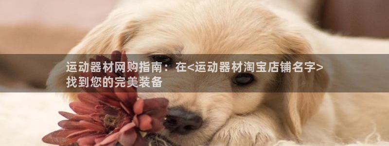 德国意昂3集团：运动器材网购指南：在<运动器材淘宝店