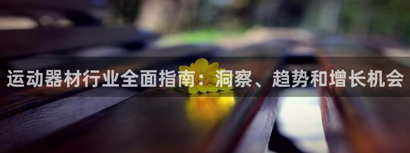 意昂3官方：运动器材行业全面指南：洞察、趋势和增长机
