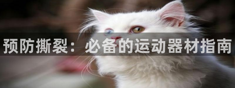 海南意昂体育3发展怎么样：预防撕裂：必备的运动器材指