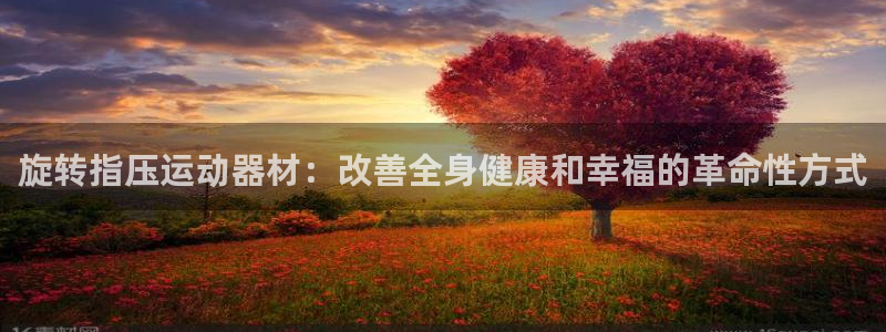 意昂体育3平台注册要钱吗是真的吗：旋转指压运动器材：