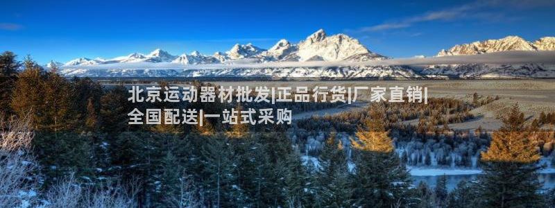 意昂体育3平台APP：北京运动器材批发|正品行货|厂