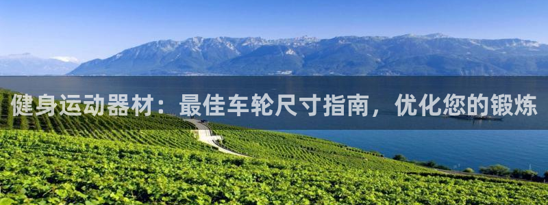 意昂3官方：健身运动器材：最佳车轮尺寸指南，优化您的