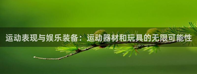 意昂3集团官网首页：运动表现与娱乐装备：运动器材和玩