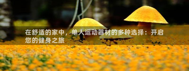意昂体育3软件：在舒适的家中，单人运动器材的多种选择
