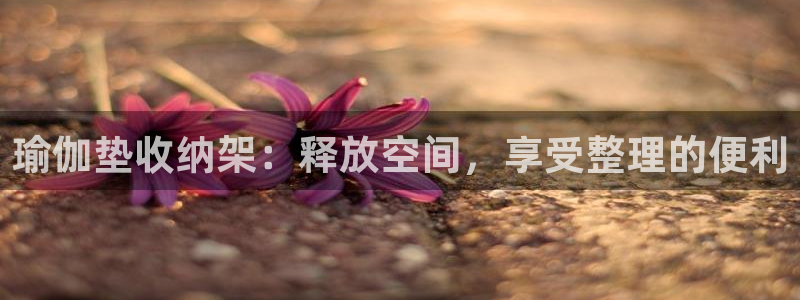 意昂3科技：瑜伽垫收纳架：释放空间，享受整理的便利