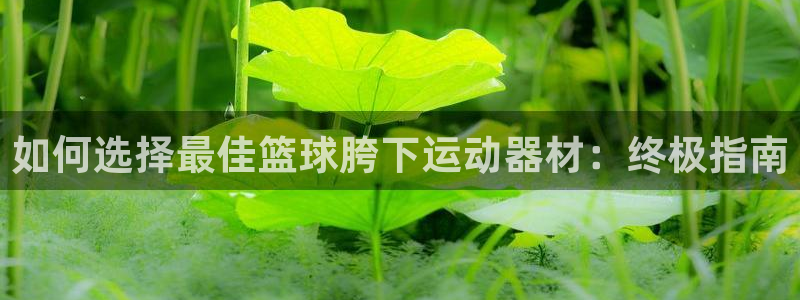 意昂体育3平台是正规平台吗：如何选择最佳篮球胯下运动