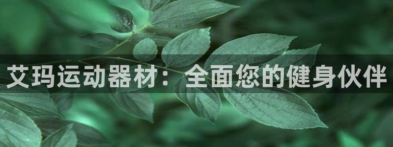 意昂体育3平台注册要钱吗：艾玛运动器材：全面您的健身