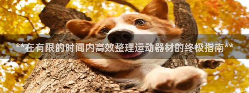意昂体育3招商电话号码查询是多少：**在有限的时间内