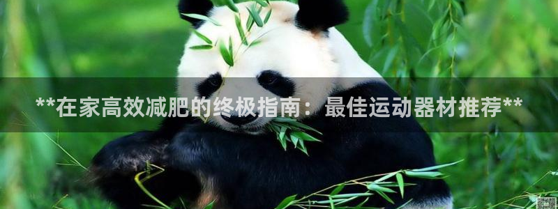 意昂体育3平台假的吗是真的吗：**在家高效减肥的终极