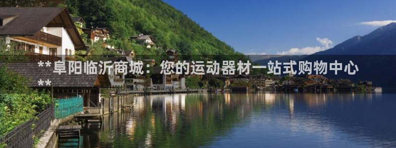 意昂3新能源：**阜阳临沂商城：您的运动器材一站式购