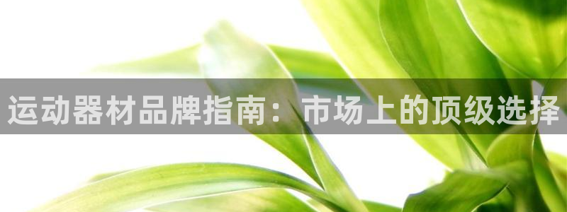 意昂体育3招商电话号码查询：运动器材品牌指南：市场上