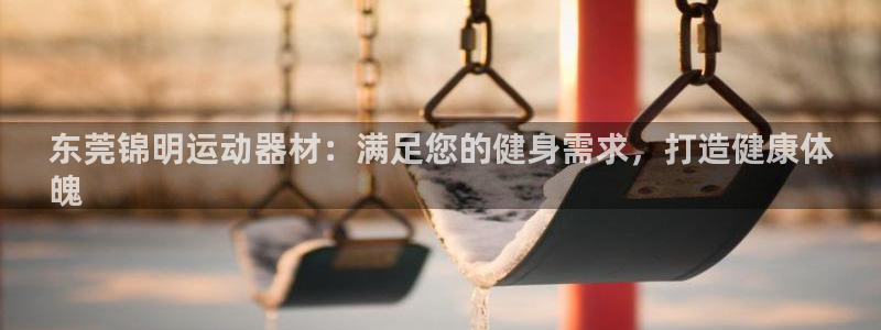 意昂3开户：东莞锦明运动器材：满足您的健身需求，打造