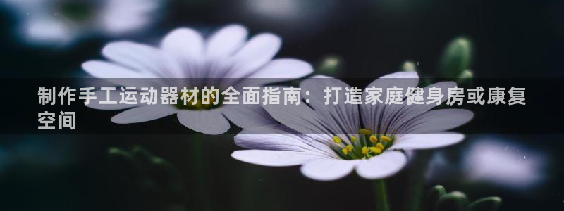 意昂3集团logo：制作手工运动器材的全面指南：打造