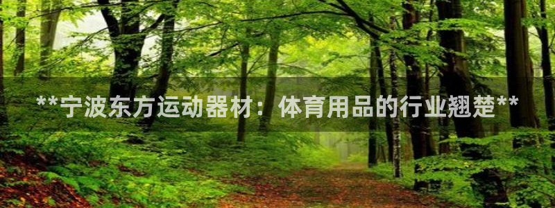 意昂体育3注册：**宁波东方运动器材：体育用品的行业