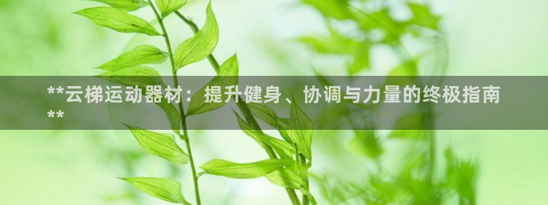 意昂集团官网：**云梯运动器材：提升健身、协调与力量
