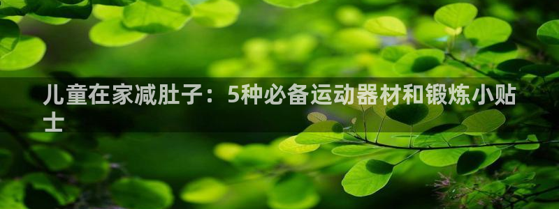 意昂3集团官网网址：儿童在家减肚子：5种必备运动器材