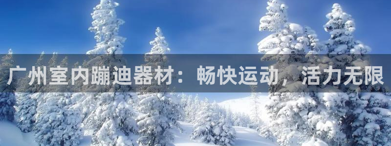 意昂体育3招商电话：广州室内蹦迪器材：畅快运动，活力