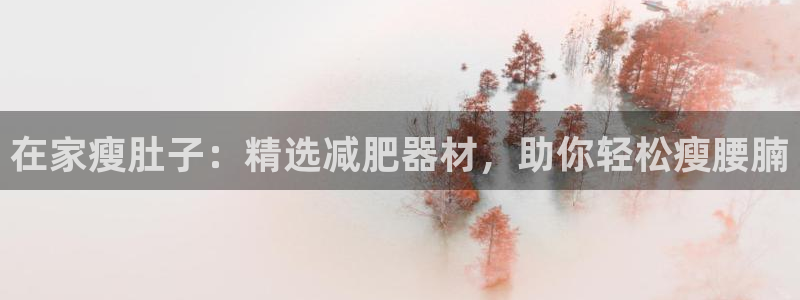 意昂平台体育：在家瘦肚子：精选减肥器材，助你轻松瘦腰
