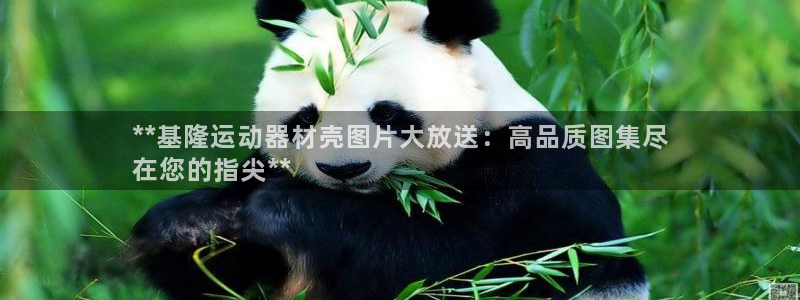 意昂体育3招商电话是多少啊：**基隆运动器材壳图片大