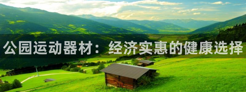 意昂体育3开户：公园运动器材：经济实惠的健康选择