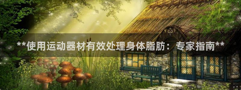 意昂3娱乐首页网站大全：**使用运动器材有效处理身体