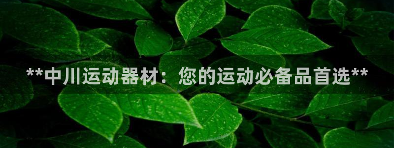 意昂体育3平台注册要钱吗安全吗：**中川运动器材：您