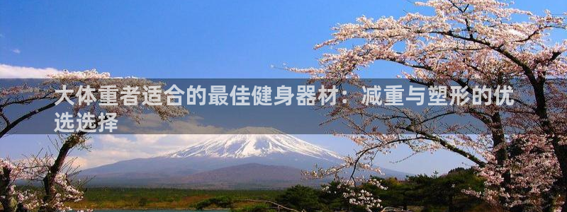 意昂3科技：大体重者适合的最佳健身器材：减重与塑形的