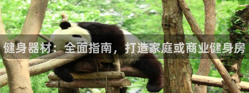 意昂体育3平台注册要钱吗：健身器材：全面指南，打造家