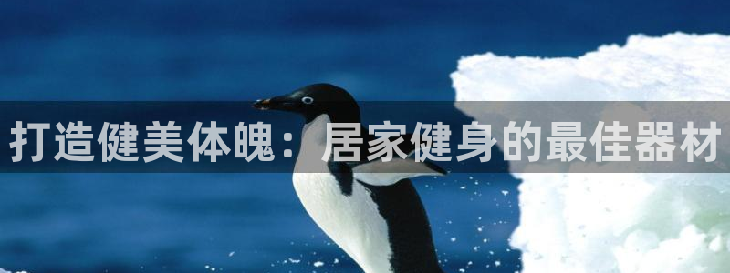 意昂体育3招商电话是多少号码：打造健美体魄：居家健身