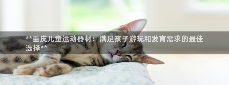 意昂平台体育：**重庆儿童运动器材：满足孩子游玩和发
