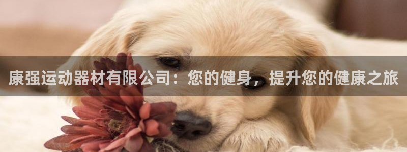意昂3集团logo：康强运动器材有限公司：您的健身，