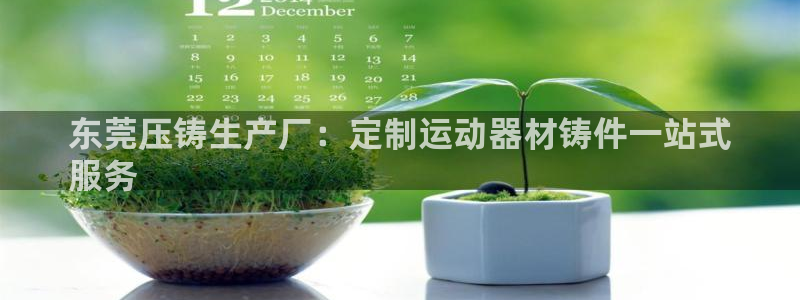 意昂3集团官网网址：东莞压铸生产厂：定制运动器材铸件