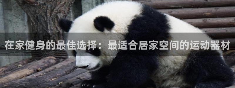 意昂3娱乐网站：在家健身的最佳选择：最适合居家空间的