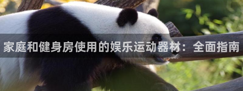 意昂3娱乐：家庭和健身房使用的娱乐运动器材：全面指南