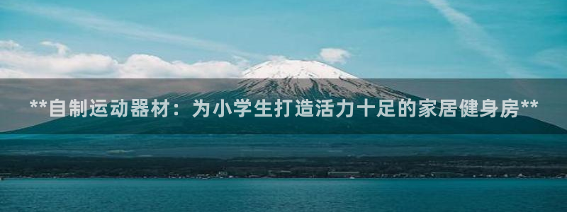 注册意昂3：**自制运动器材：为小学生打造活力十足的