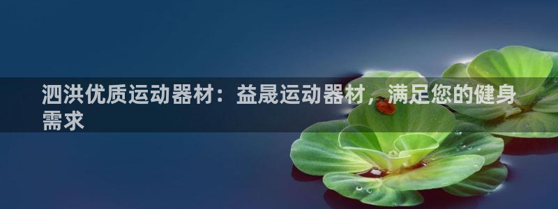 意昂体育3平台注册流程视频：泗洪优质运动器材：益晟运