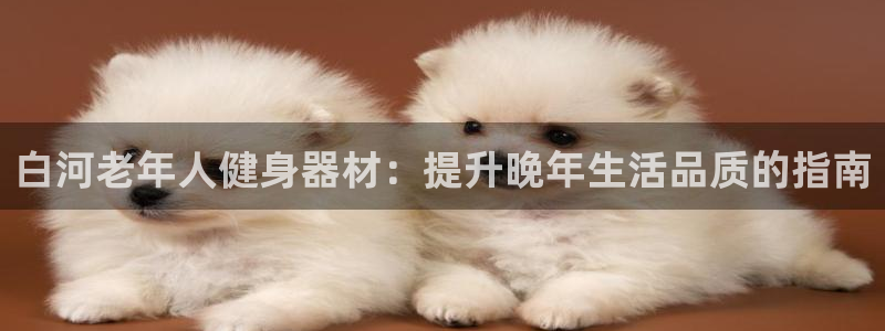 意昂体育3平台注册流程图：白河老年人健身器材：提升晚