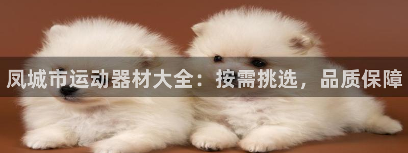 意昂体育3平台是正规平台吗：凤城市运动器材大全：按需挑选，品