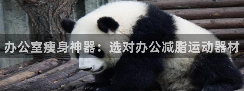 意昂体育3招商：办公室瘦身神器：选对办公减脂运动器材
